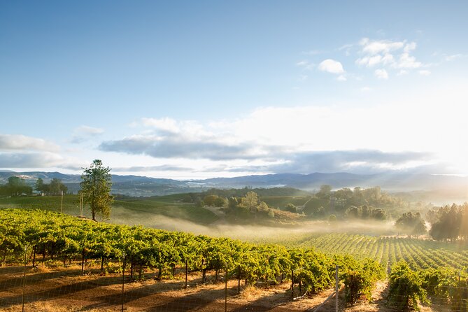 San Francisco: Napa Valley Wine Tour and Muir Woods Guided Tour - Additional Details