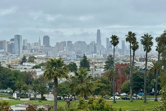 San Francisco Private City Tour in New EV Volkswagen Van - Key Points