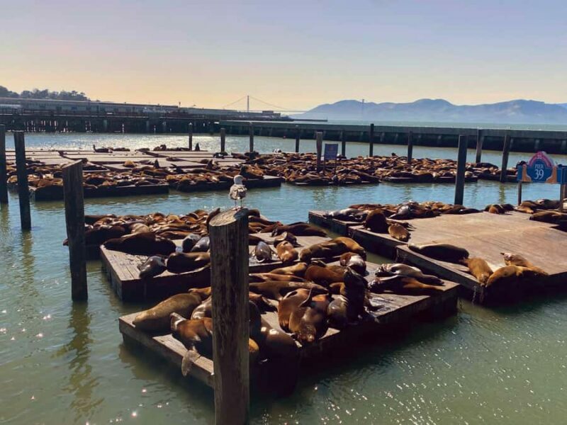 San Francisco Private Custom Tour - What to Expect from the San Francisco Private Custom Tour