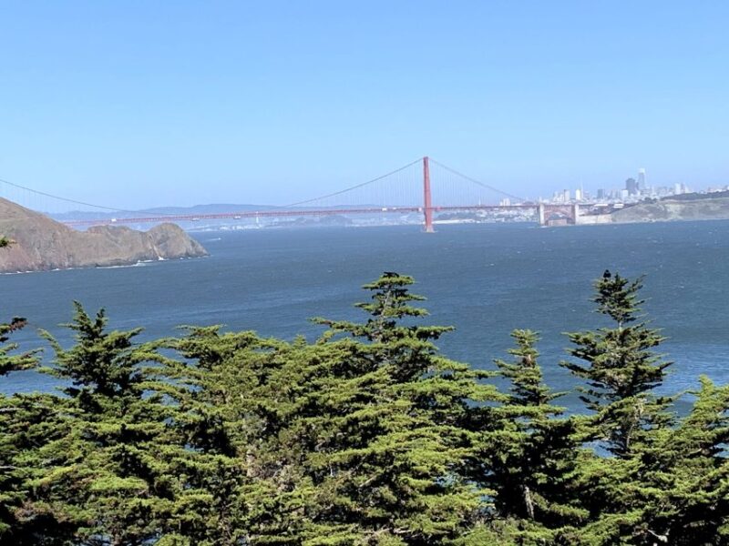San Francisco: Private Muir Woods, Sausalito Half-Day Trip - Guided Experience