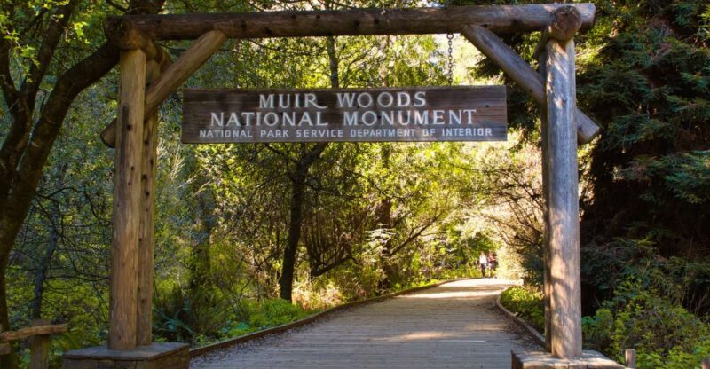 San Francisco: Private Muir Woods, Sausalito Half-Day Trip - Customer Reviews and Ratings