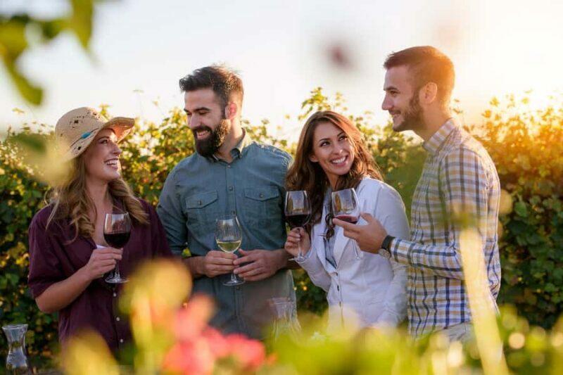 San Francisco: Redwood & Wine Country Tour with Lunch & Wine - An In-Depth Look at the Redwood & Wine Country Tour