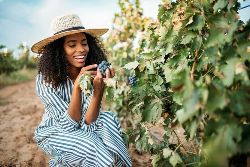 San Francisco: Redwood & Wine Country Tour with Lunch & Wine - Final Thoughts: Is This Tour Right for You?