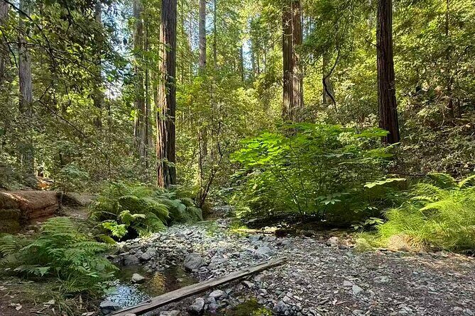 San Francisco, Redwoods & Sausalito: A Scenic Small-Group Escape - FAQs