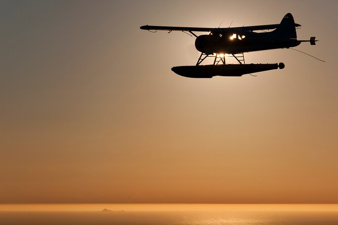 San Francisco Sunset Champagne Seaplane Tour - Experienced Pilots Commentary