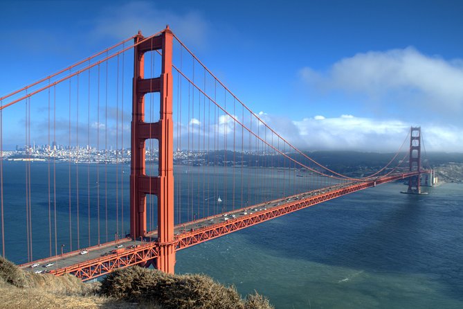 San Francisco Super Saver: Grand City Tour Plus Muir Woods & Sausalito Day Trip - Exploring Diverse Neighborhoods