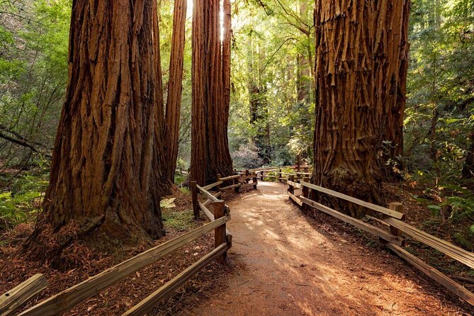 San Francisco Super Saver: Muir Woods & Wine Country W/ Optional Gourmet Lunch - Just The Basics