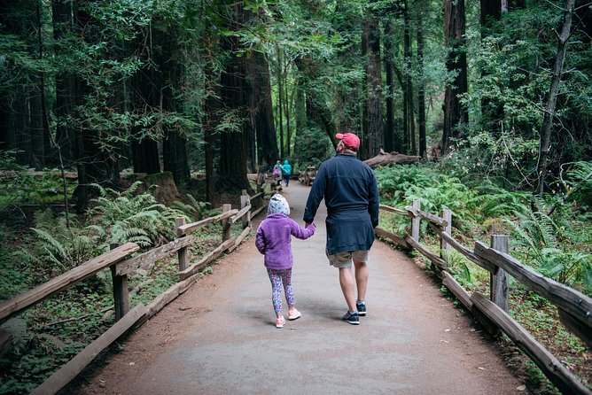 San Francisco Super Saver: Muir Woods & Wine Country W/ Optional Gourmet Lunch - Itinerary