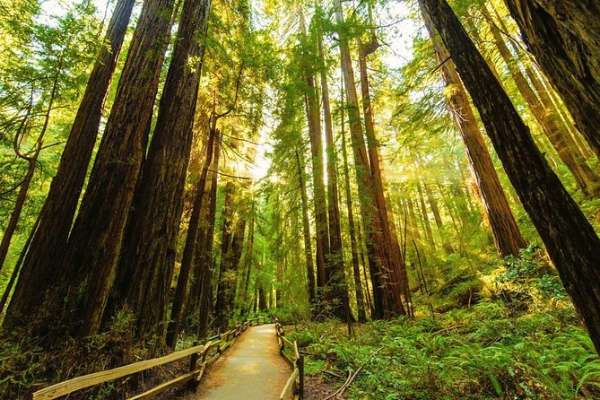 San Francisco to Muir Woods Shuttle - Inclusions and Exclusions
