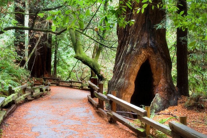 San Francisco to Muir Woods Shuttle - Recommended Attire