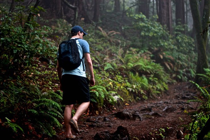 San Francisco to Muir Woods Shuttle - Booking and Confirmation