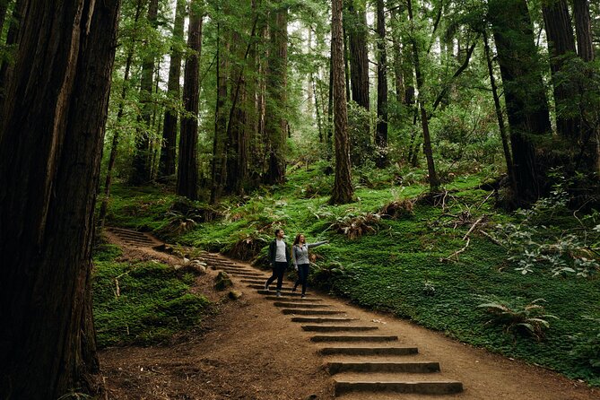 San Francisco to Muir Woods Shuttle - Traveler Participation