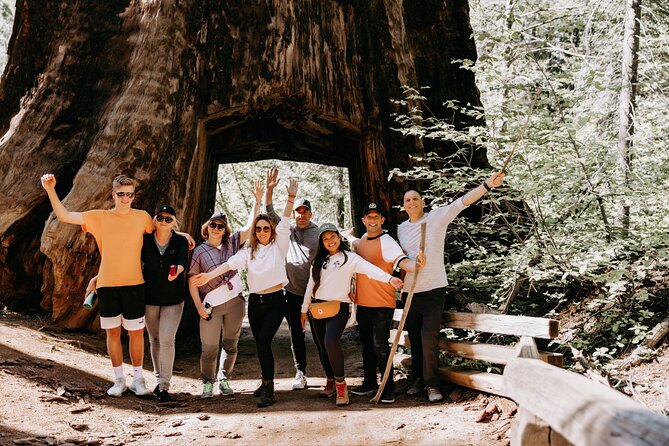 San Francisco to Yosemite One-Way Transfer - Meeting and Pickup Details