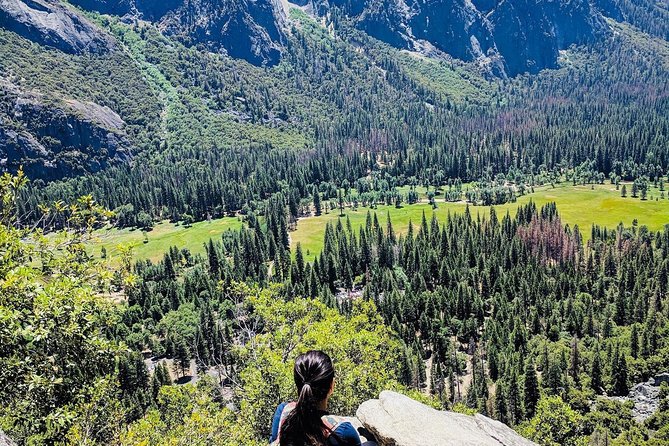 San Francisco to Yosemite One-Way Transfer - Trip Modifications and Cancellations