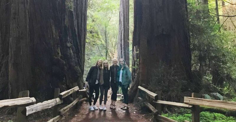 San Francisco Tour to Muir Woods Giant Redwoods & Sausalito - Itinerary and Highlights