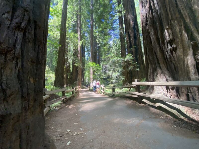 San Francisco Tour to Muir Woods Giant Redwoods & Sausalito - Booking Information