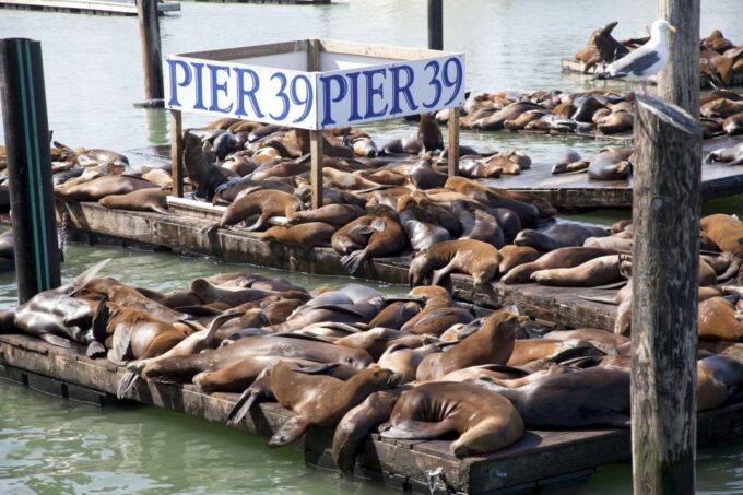 San Francisco Ultimate City Tour With Bay Cruise Option - Optional Add-ons