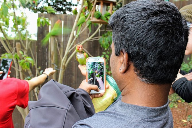 San Francisco Urban Hike: Coit Tower, Lombard Street and North Beach - Navigating the Crooked Lombard Street
