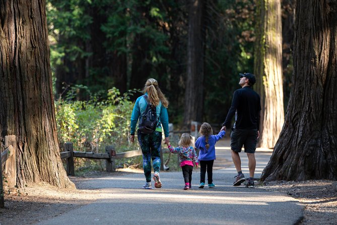 San Francisco: Yosemite National Park and Giant Sequoia Day Tour - Hiking Through Tuolumne Grove
