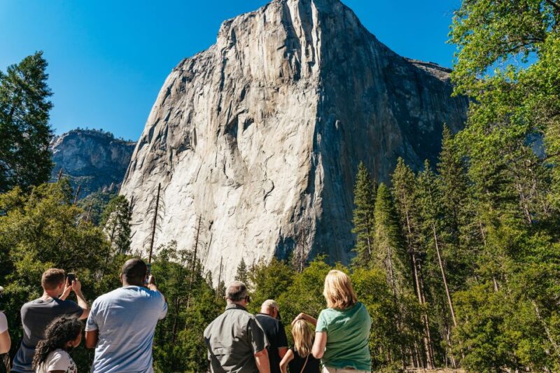 San Francisco: Yosemite National Park & Giant Sequoias Hike - Audio Guides