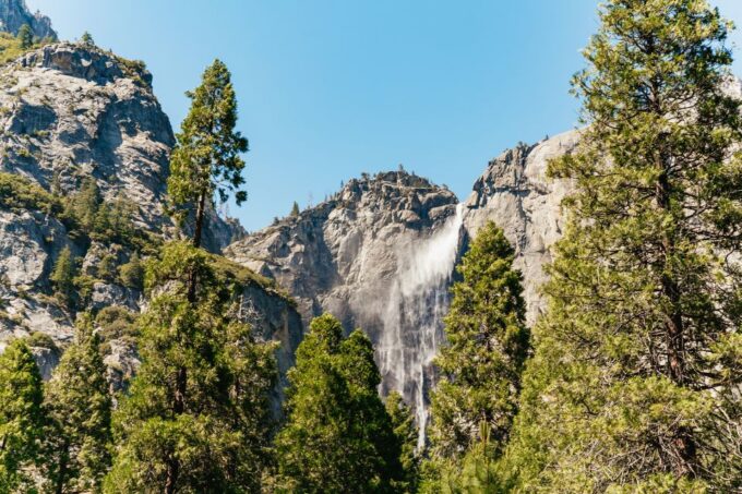 San Francisco: Yosemite National Park & Giant Sequoias Hike - Hiking Details