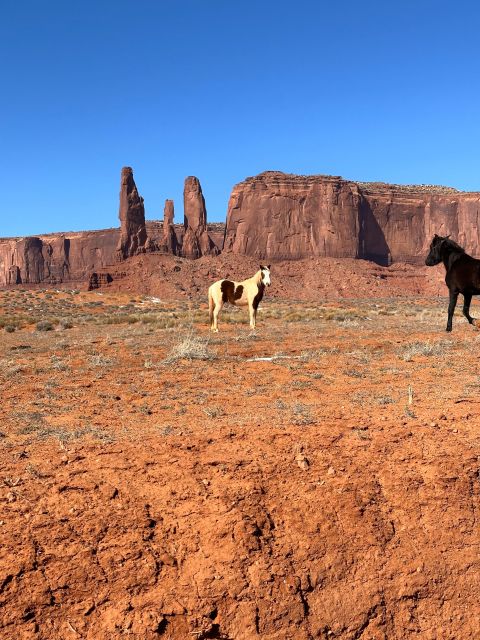 San Francisco: Yosemite, Vegas, Sedona, Antelope 7-Day Tour - Price and Cancellation