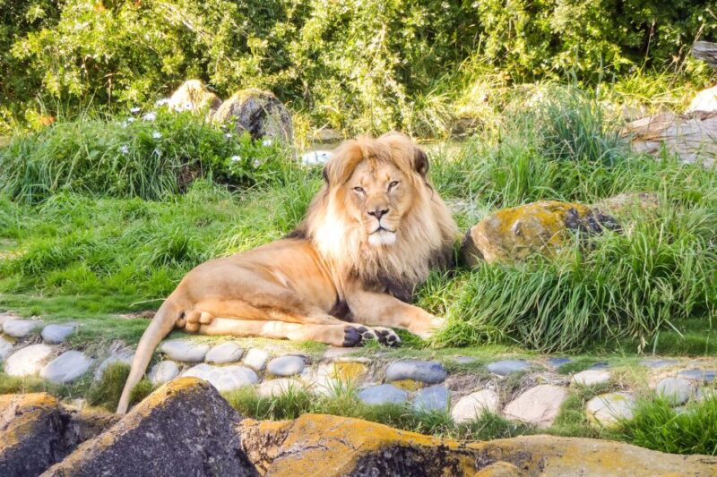 San Francisco Zoo Admission Ticket - Identification Requirements