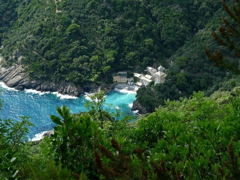 San Fruttuoso Bay: Half-Day Hiking Tour - Experience Highlights