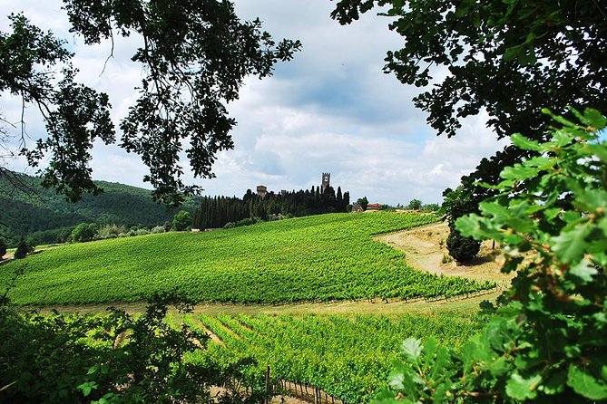 San Gimignano and Chianti Classico Wine and Food PRIVATE TOUR From Florence - Key Points
