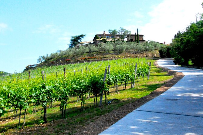 San Gimignano and Chianti Classico Wine and Food PRIVATE TOUR From Florence - Luxury Mercedes Transportation