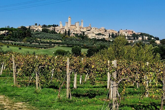 San Gimignano and Siena Private Wine Tasting Tour With Lunch - Key Points