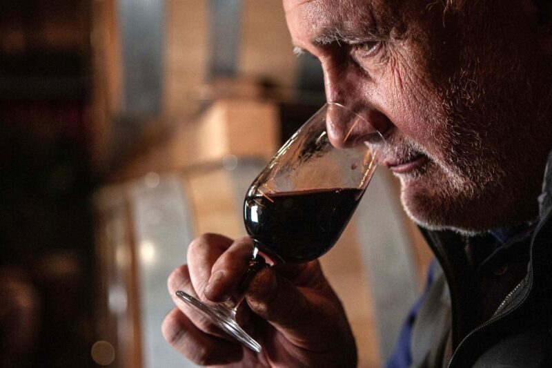 San Gimignano: Barrel Wine Tasting at a Winery - Itinerary Details