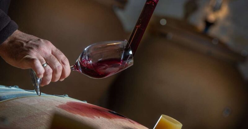 San Gimignano: Barrel Wine Tasting at a Winery - Highlights and Experiences