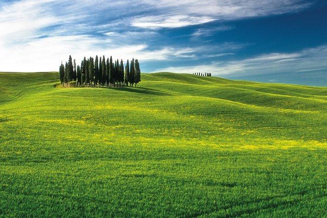 San Gimignano, Chianti, and Montalcino Day Trip From Siena - Logistical Details