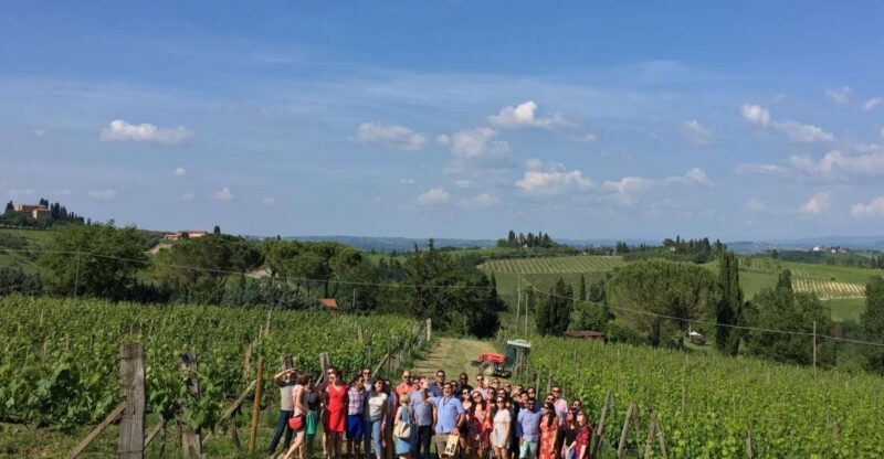 San Gimignano: Premium Wine Tour With Lunch - Key Points