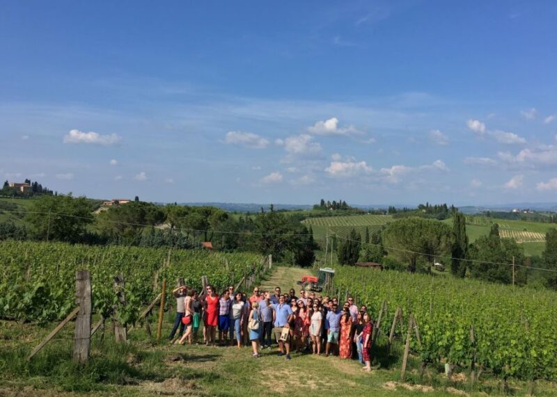 San Gimignano: Premium Wine Tour With Lunch - Tour Overview