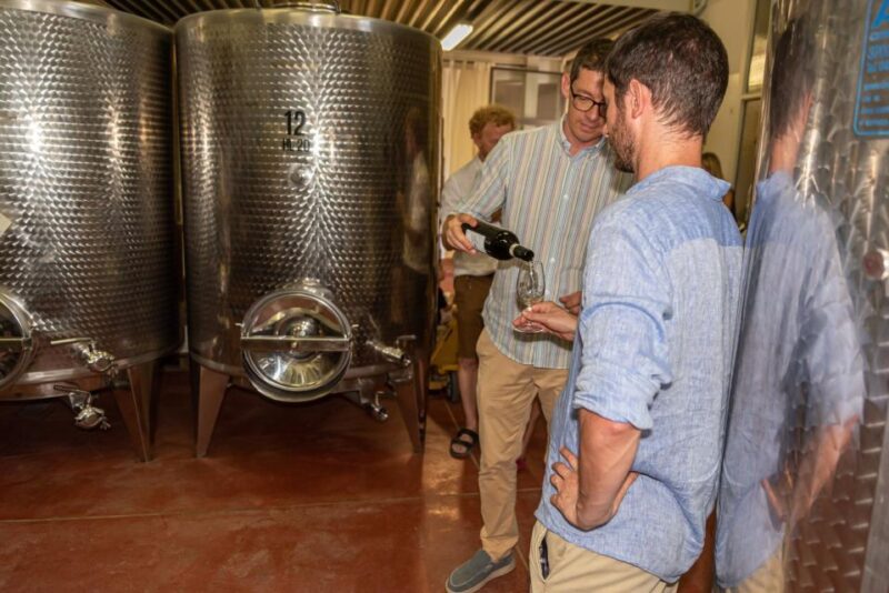 San Gimignano: Premium Wine Tour With Lunch - Lunch Experience