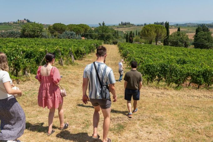 San Gimignano: Premium Wine Tour With Lunch - Recap