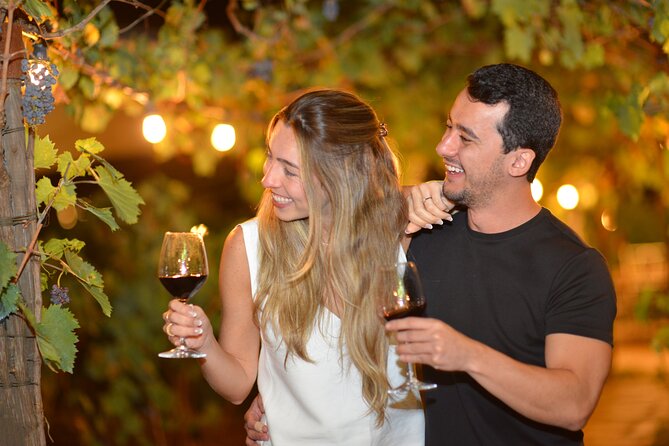 San Gimignano Romantic Dinner in the Vineyards - Pairing Wines With Flavors