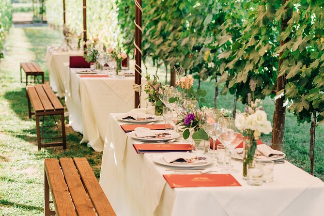 San Gimignano Romantic Dinner in the Vineyards - Accessibility and Accommodations