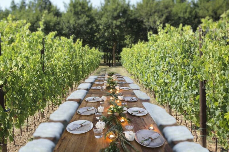San Gimignano: Romantic Vineyard Dinner - Key Points