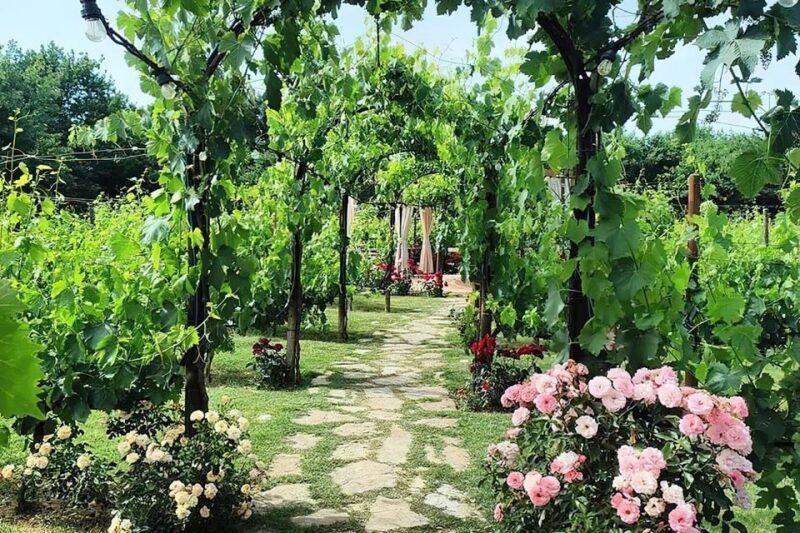 San Gimignano: Romantic Vineyard Dinner - Location and Logistics