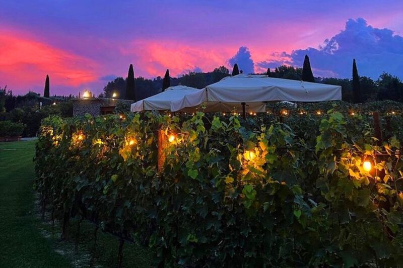 San Gimignano: Romantic Vineyard Dinner - Customer Ratings and Reviews