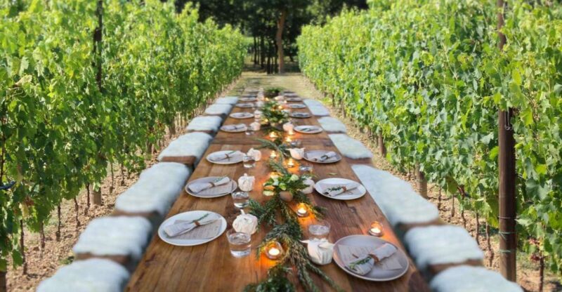 San Gimignano: Romantic Vineyard Lunch - Key Points
