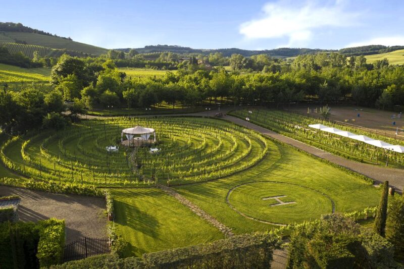 San Gimignano: Romantic Vineyard Lunch - Culinary and Wine Tasting