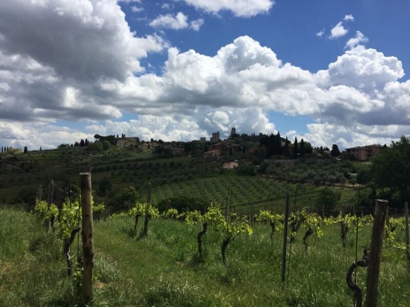 San Gimignano: Saffron and Vernaccia Tasting With Lunch - Frequently Asked Questions