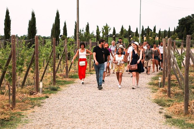 San Gimignano, Siena, Monteriggioni: Fully Escorted Tour, Lunch & Wine Tasting - Arrival and Departure Details