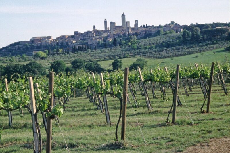 SAN GIMIGNANO: TASTING WITH A VIEW OF THE TOWERS - Overview of the Experience