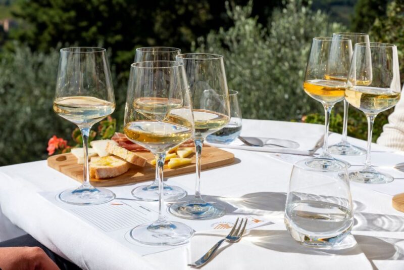 San Gimignano: Top Masterclass at Vernaccia Wine Experience - Sensory Exploration of Vernaccia and San Gimignano Rosso