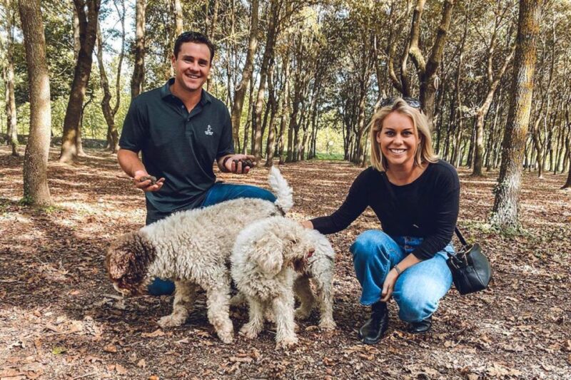 San Gimignano: Truffle Hunting With Lunch & Wine Tasting - Inclusions